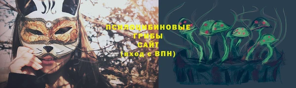 Альфа ПВП Аркадак