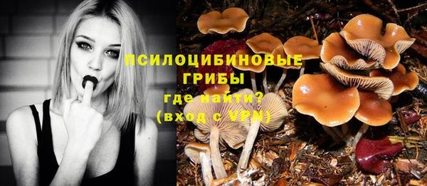 прущая мука Арсеньев