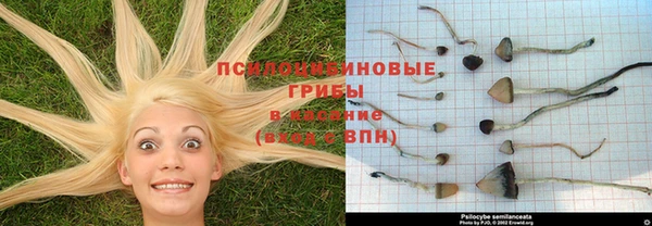 прущая мука Арсеньев