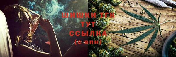 Альфа ПВП Аркадак